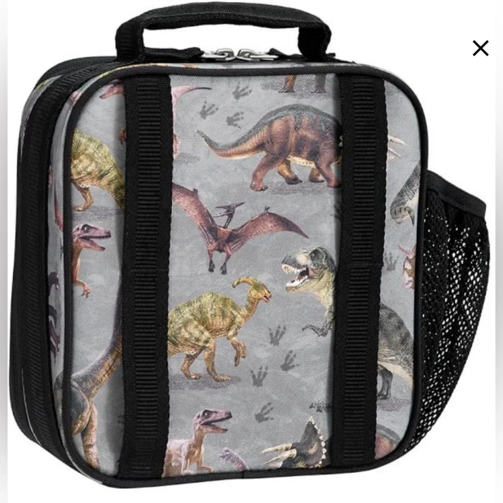 KIDS Pottery Barn Kids Mackenzie Gray Dinosaur Photoreal Classic Lunch Box